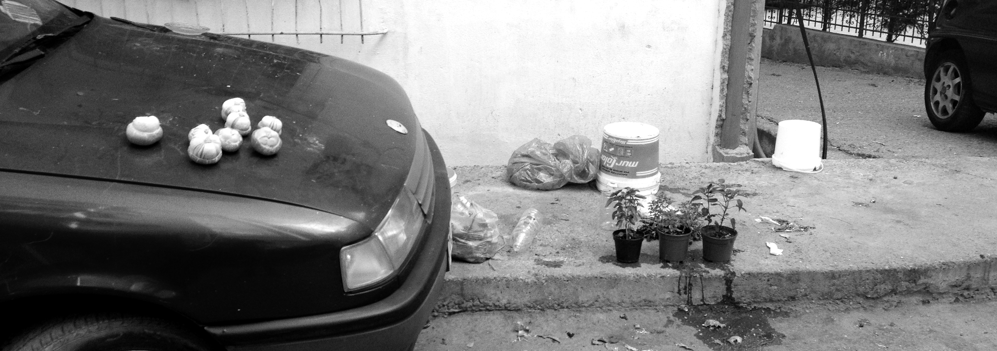 Horizontal Tirana