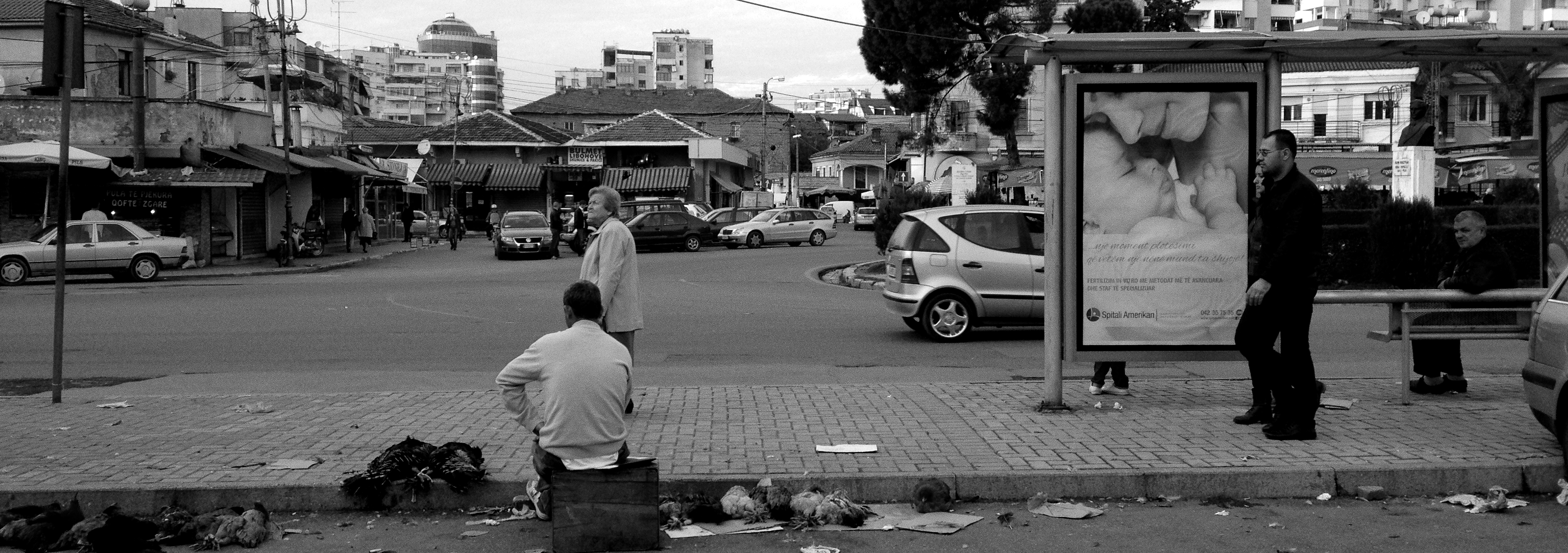 Horizontal Tirana