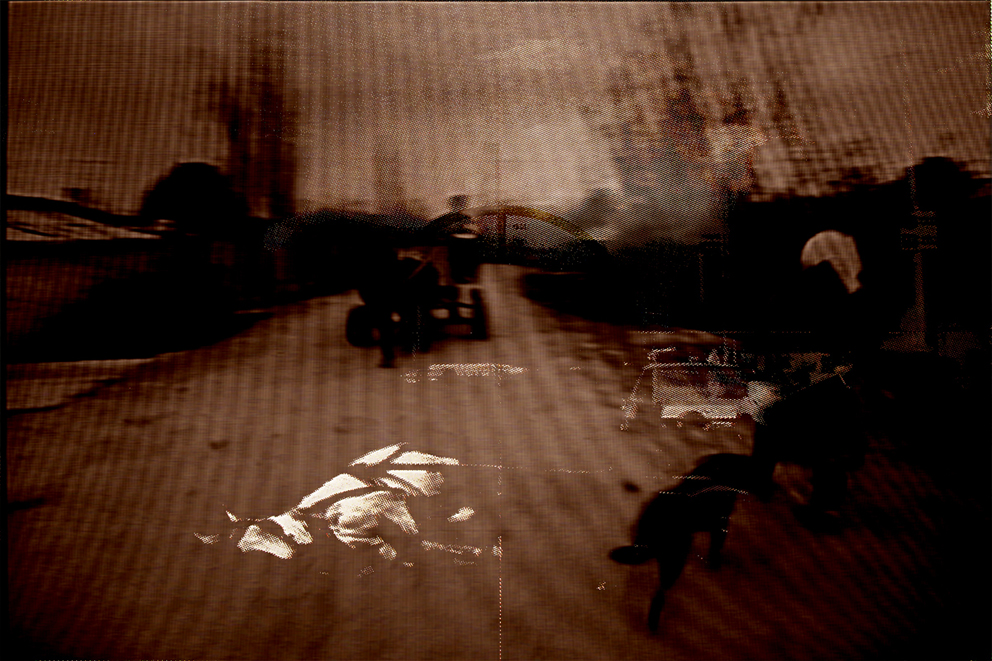 SPRING : & Stalin, 57th Berlin International Film Festival